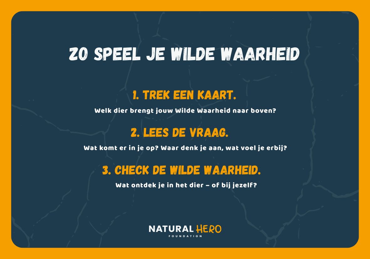 Voorbeeldkaart uit het spel Wilde Waarheid.