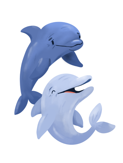 pair of dolphines